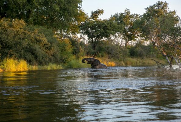 Kayube, Zambezi River, Livingstone, Zambia photo by Nicole Olwagen under license by Unsplash.com